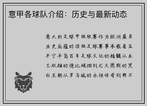意甲各球队介绍:历史与最新动态